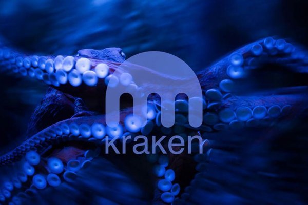 Kraken mega