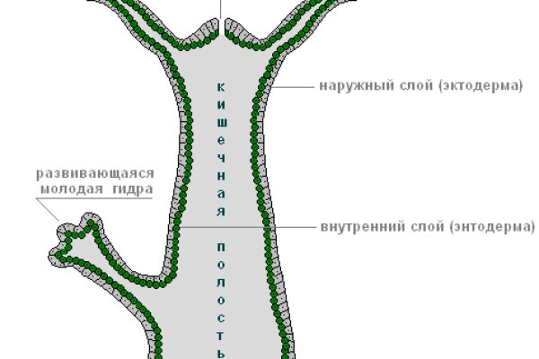 Кракен зеркало сайта